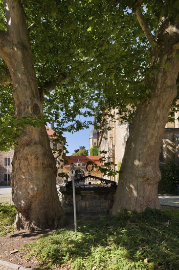 (Â© Sylvio Dittrich +49 1772156417) Fountain at Merseburg Cathedral