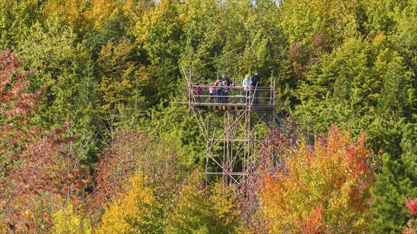 The Forest Botanical Garden Tharandt is an institution of the Technical University of Dresden and