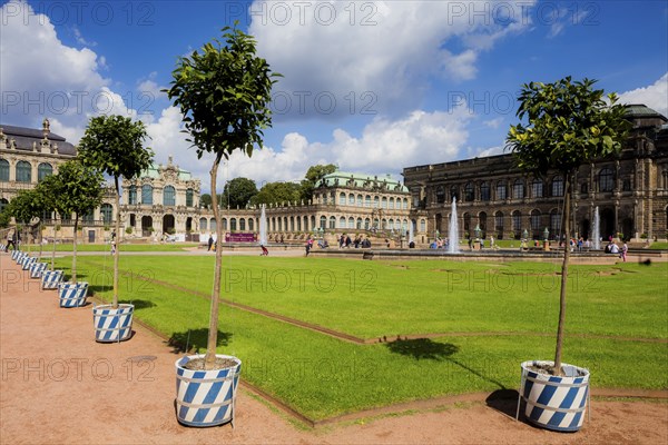 Dresden Zwinger Lemon Trees in the Pleasure Garden