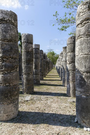 Group of a Thousand Columns, Chichen Itza, Mayan ruins, Yucatan, Mexico, Central America