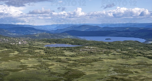 Tundra landscape with birch forests and lakes, Fjell, Oystre Slidre, Jotunheimen National Park,