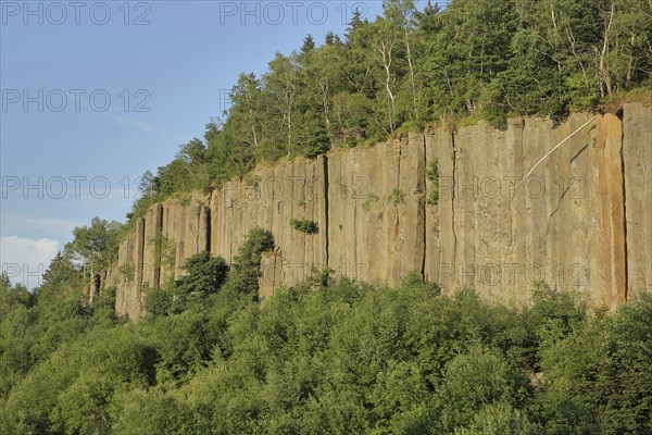 Organ pipes with basalt columns, Scheibenberg, rock, rock formations, rock, cliffs, rock face,