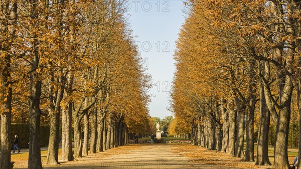 The former summer residence of the Saxon royal family is the largest chinoise palace complex in