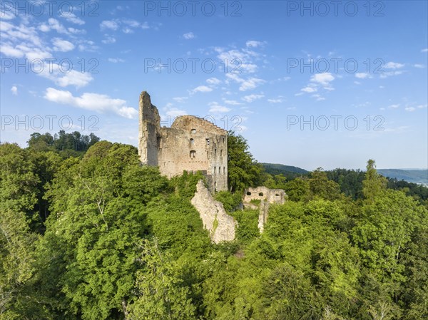Aerial view of the Altbodman Ruin, Bodman-Ludwigshafen, Constance County, Baden-Württemberg,