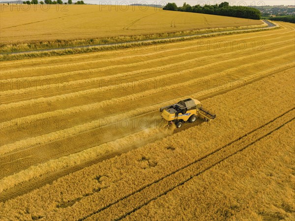 Grain harvest in a field near Babisnau on the outskirts of Dresden