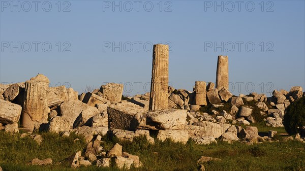 Column remains, Temple F, Athena Temple, Selinunte, Archaeological Site, Southwest Sicily, Sicily,