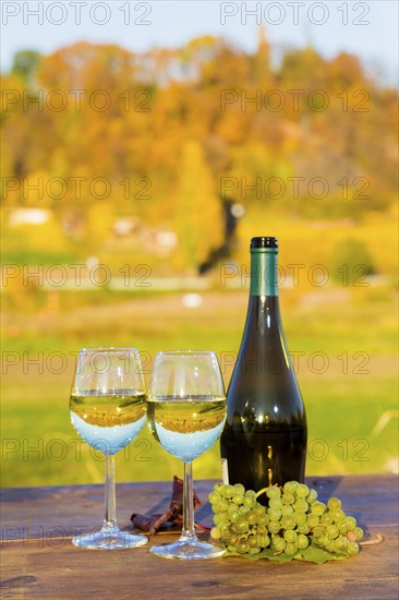 The wine-growing region of Saxony is one of the smallest and the most easterly wine-growing region