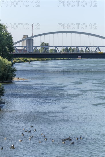 The Rhine between Strasbourg and Kehl seen from the garden of the two banks. Bas-Rhin, Collectivite