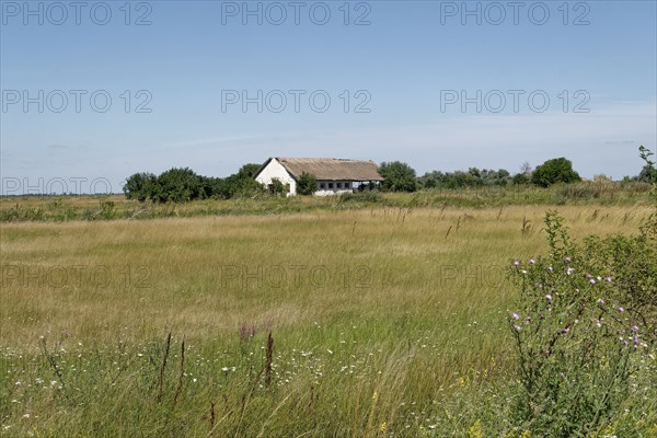 Puszta and steppe landscape in Hortobagy National Park, Hortobagy Nemzeti Park, UNESCO Biosphere