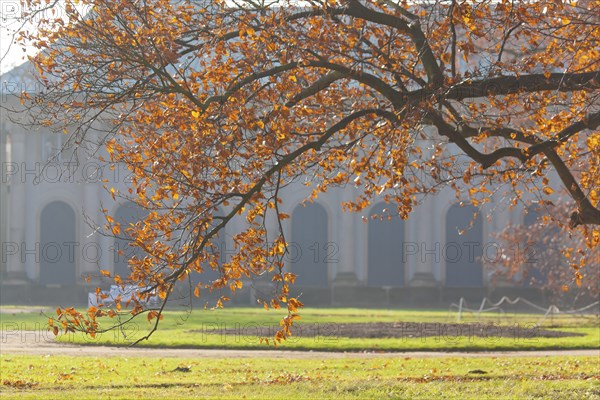 (Copyright Â©www.dresden fotografie.de) (Sylvio Dittrich +49 1772156417) Pillnitz Palace Park