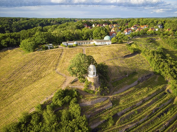 Wackerbarth Castle, originally Wackerbarths Ruh', is a Baroque castle surrounded by vineyards in