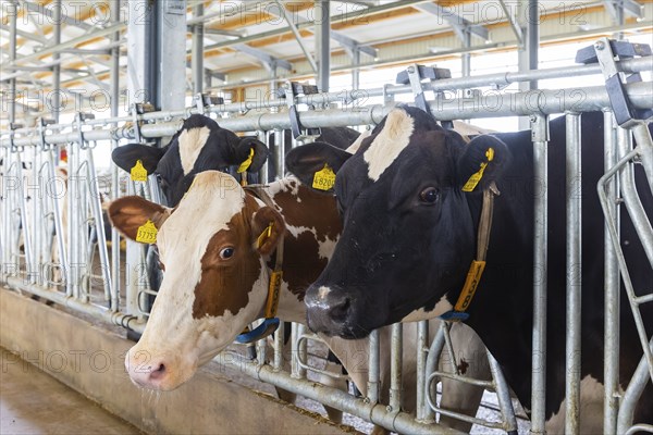 Winner of the Saxon State Competition for Animal-Friendly and Environmentally Compatible Husbandry