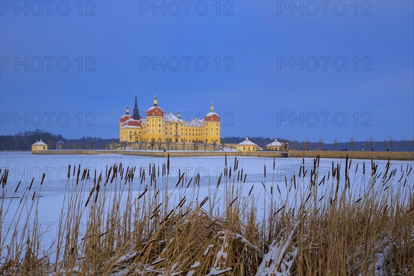 Moritzburg Baroque Palace in Winter