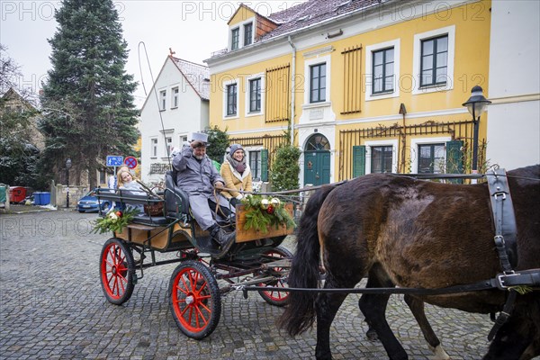 The Elbhangfest Christmas market on Körnerplatz is still an insider's tip in Dresden's Christmas