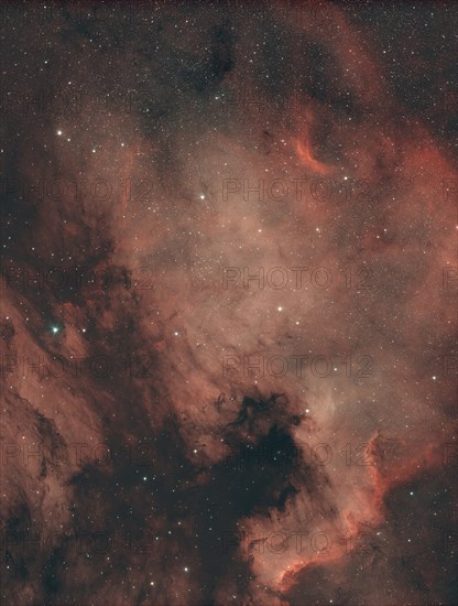 Diffuse Gas Nebula NGC7000, North America Nebula in the constellation Swan in the northern starry
