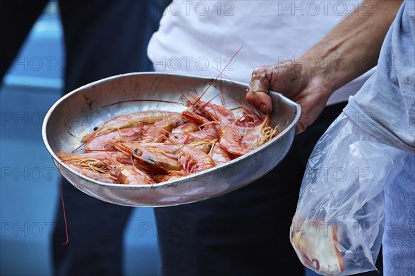 Vendor's hand holding metal bowl with prawns, detail, fish market, old town, Catania, east coast,