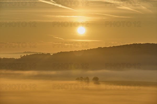 Landscape, fog, trees, forest, sunrise, Höhefeld, Wertheim, Baden-Württemberg, Germany, Europe