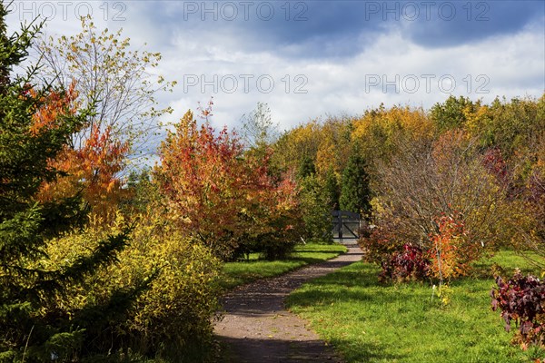The Forest Botanical Garden Tharandt is an institution of the Technical University of Dresden and
