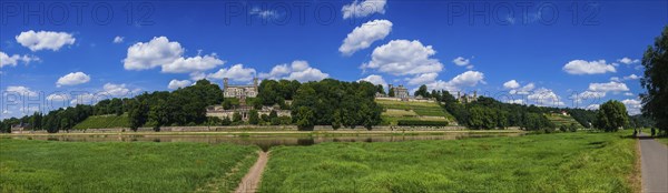 Elbe Castles