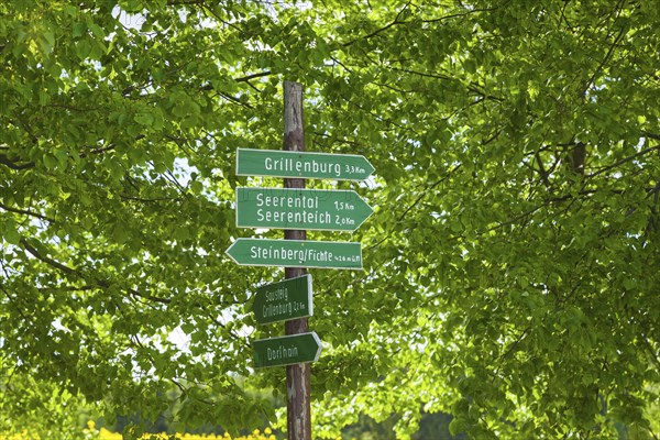 Tharandt Forest near Dorfhain