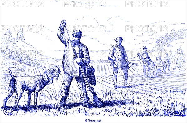 Hen hunt, partridges, driven hunt, Hubertus hunt, hunting scenes, wild animals, field, hunter,