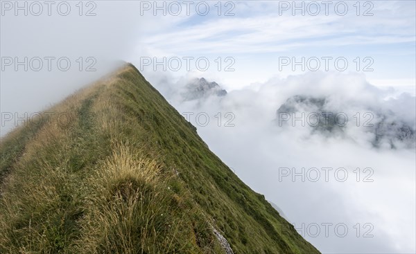 Steep grassy mountains in the fog, ascent to Marwes, Säntis, Appenzell Ausserrhoden, Appenzell