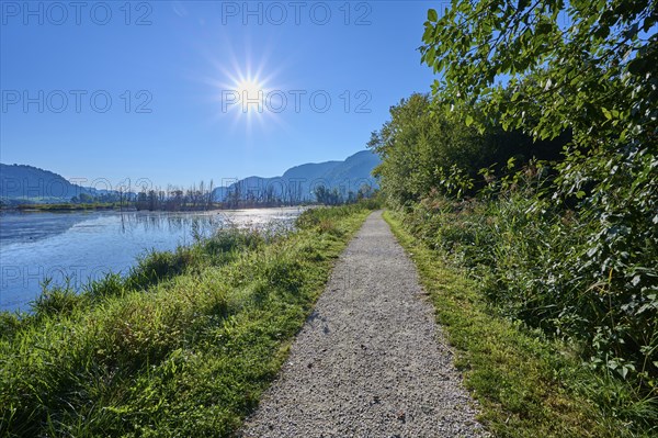 Hiking trail, cycle path, sun, morning, summer, Bleistätter Moor, Steindorf am Lake Ossiach, Lake