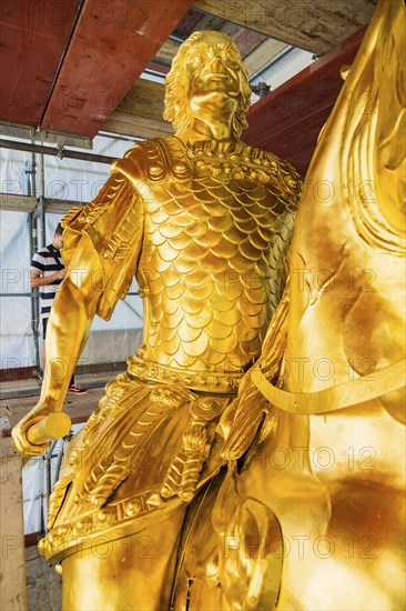 Golden Rider close-up