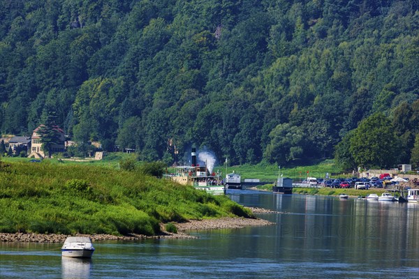 Elbe steamer Pirna in Wehlen