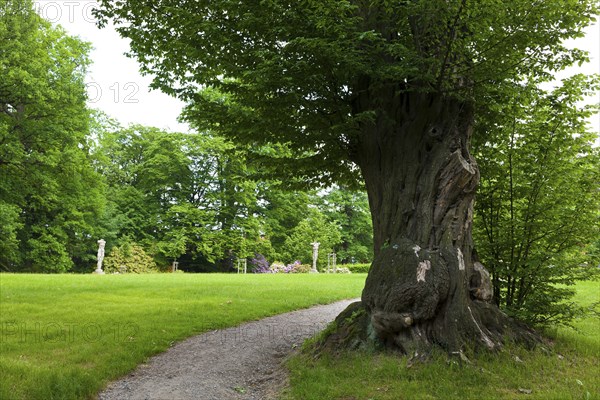Pulsnitz Castle Park