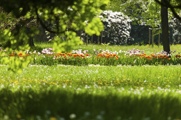Pillnitz Palace Park in spring