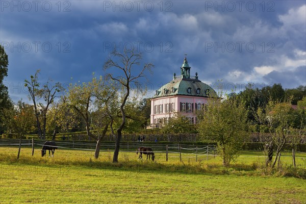 Moritzburg Pheasant Castle
