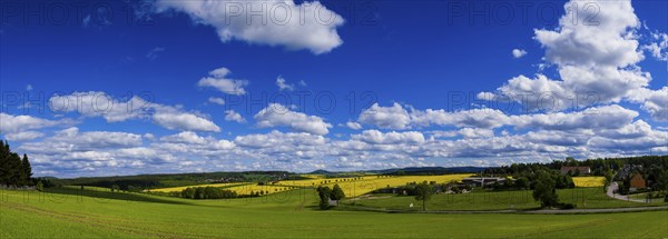 Rape fields in bloom in Seifersdorf near Malter View to the Luchberg mountain