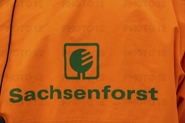 Employees of Sachsenforst at a press event for wood salvage in the Kirnitzschklamm gorge