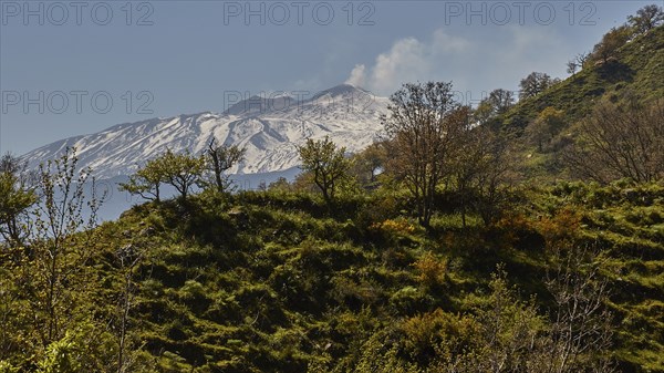 Spring, trees, green mountainside, Etna, snow-capped peak, smoking volcano, Eastern Sicily, Sicily,