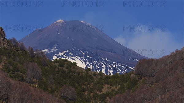 Peak, Forest, Slopes with snow, Etna, Volcano, Eastern Sicily, Sicily, Italy, Europe