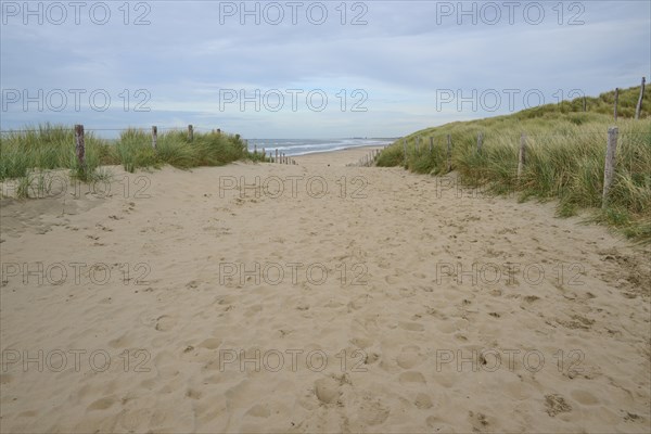 Beach access, sand dune, sea, dune grass, clouds, Zandvoort, North Sea, North Holland, Netherlands