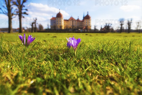 Moritzburg Baroque Palace