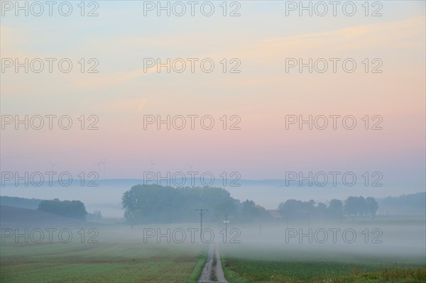 Landscape, country lane, twilight, fog, morning, Höhefeld, Wertheim, Baden-Württemberg, Germany,