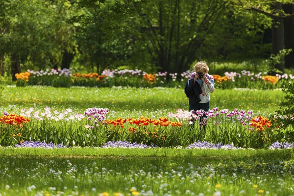 Tourist in Pillnitz Palace Park