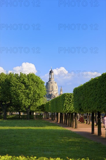 Dresden Silhouette View from Neustätter Elbufer to Dresden Old Town