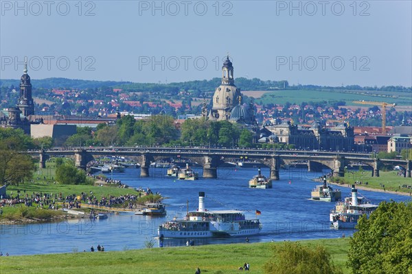 Steamboat parade on the Elbe