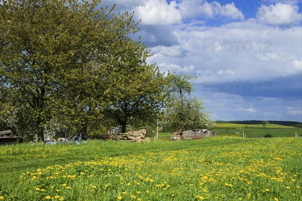 Village view Reinhardtsgrimma
