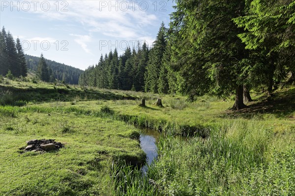 Landscape on the Romanian national road DN75 at the stream Paraul Vartopu. Vartop, Alba County,