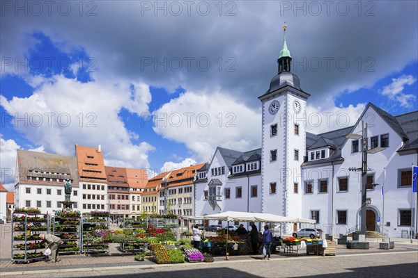 Obermarkt with town hall and fountain monument by, Otto the Rich is the town founder
