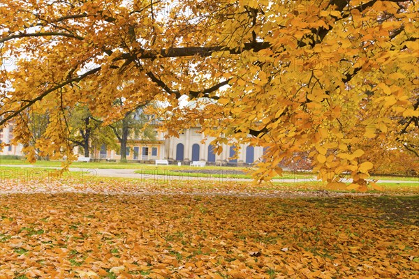 About 15 kilometres east of Dresden city centre, directly on the Elbe, lies Pillnitz Palace & Park,