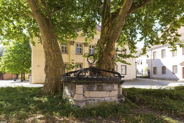 (Â© Sylvio Dittrich +49 1772156417) Fountain at Merseburg Cathedral