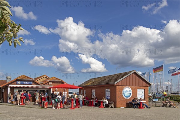 Imbiss am Hafen, Maasholm, Schleswig-Holstein, Germany, Europe