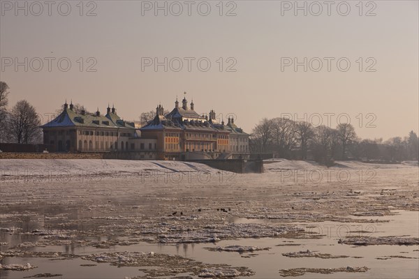 Ice drift on the Elbe in Dresden Pillnitz