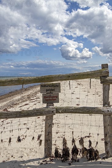 Fence in front of nature reserve, Maasholm, Schleswig-Holstein, Germany, Europe